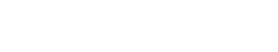 Sinergi Wahana Gemilang, Value Added Distributor